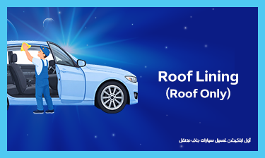 Roof lining (Roof only)